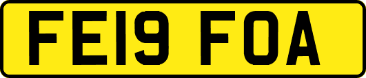 FE19FOA
