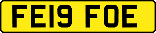 FE19FOE
