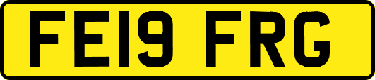 FE19FRG