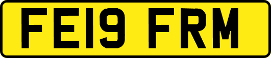 FE19FRM