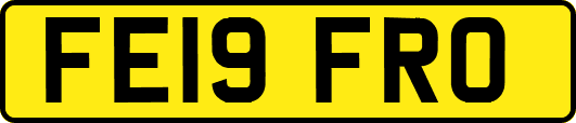 FE19FRO