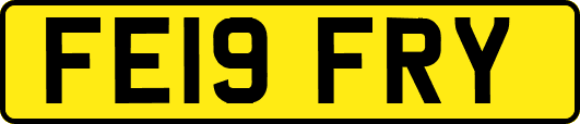 FE19FRY