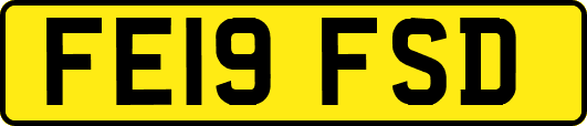 FE19FSD