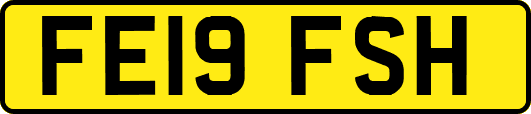 FE19FSH