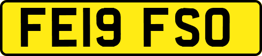 FE19FSO