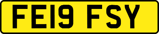 FE19FSY