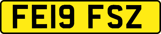 FE19FSZ