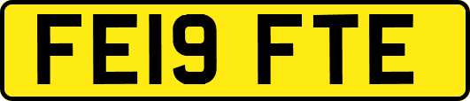 FE19FTE