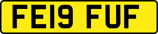 FE19FUF