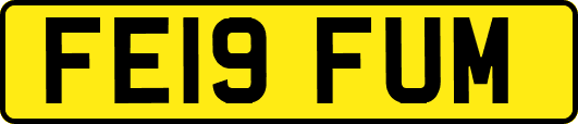 FE19FUM
