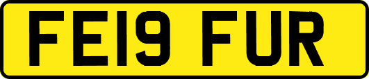 FE19FUR