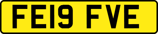 FE19FVE