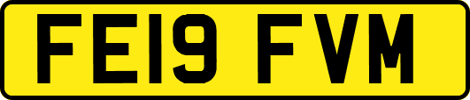 FE19FVM