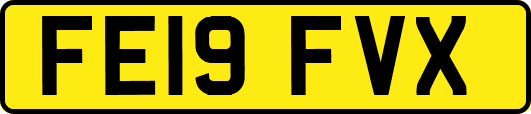 FE19FVX