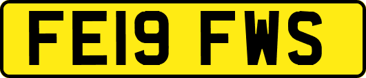 FE19FWS