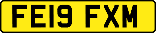 FE19FXM