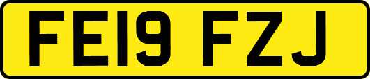 FE19FZJ