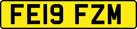 FE19FZM