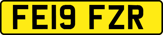 FE19FZR