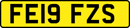 FE19FZS