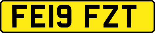 FE19FZT