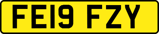 FE19FZY