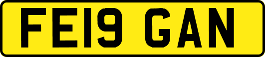 FE19GAN
