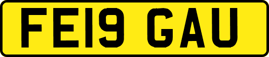 FE19GAU