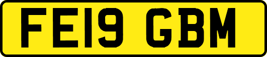 FE19GBM