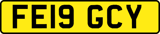 FE19GCY