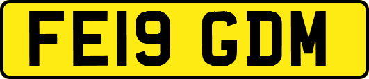 FE19GDM
