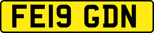 FE19GDN