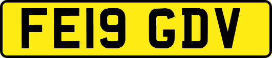 FE19GDV