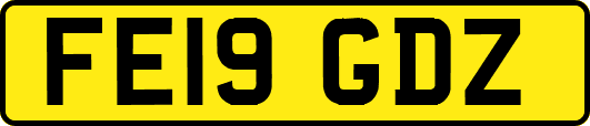 FE19GDZ