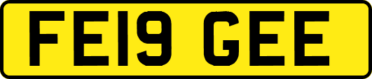 FE19GEE