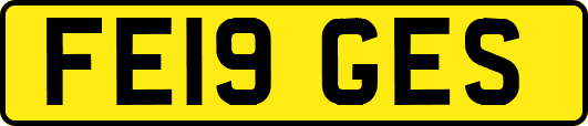 FE19GES