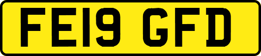 FE19GFD