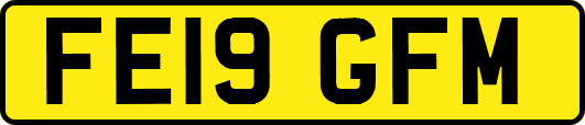 FE19GFM
