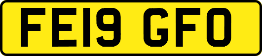 FE19GFO