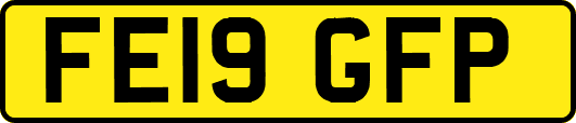 FE19GFP