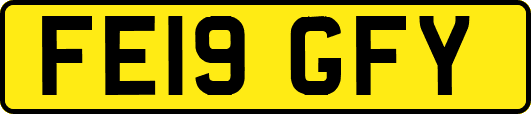 FE19GFY