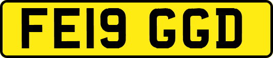 FE19GGD