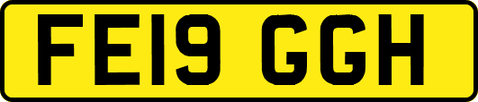 FE19GGH