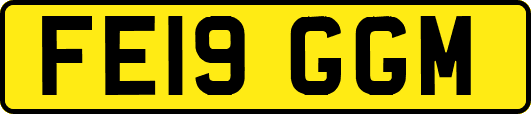 FE19GGM