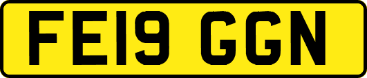 FE19GGN