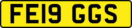FE19GGS