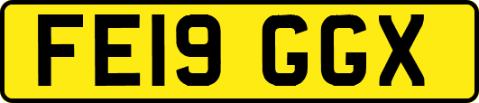 FE19GGX