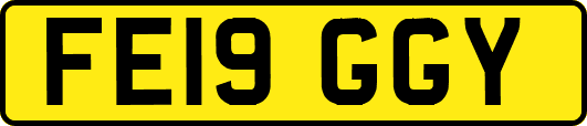 FE19GGY