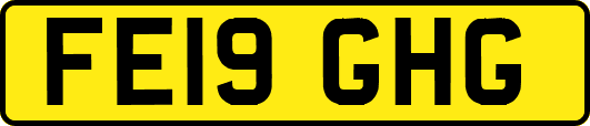 FE19GHG