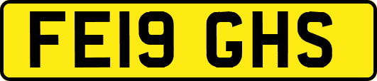 FE19GHS